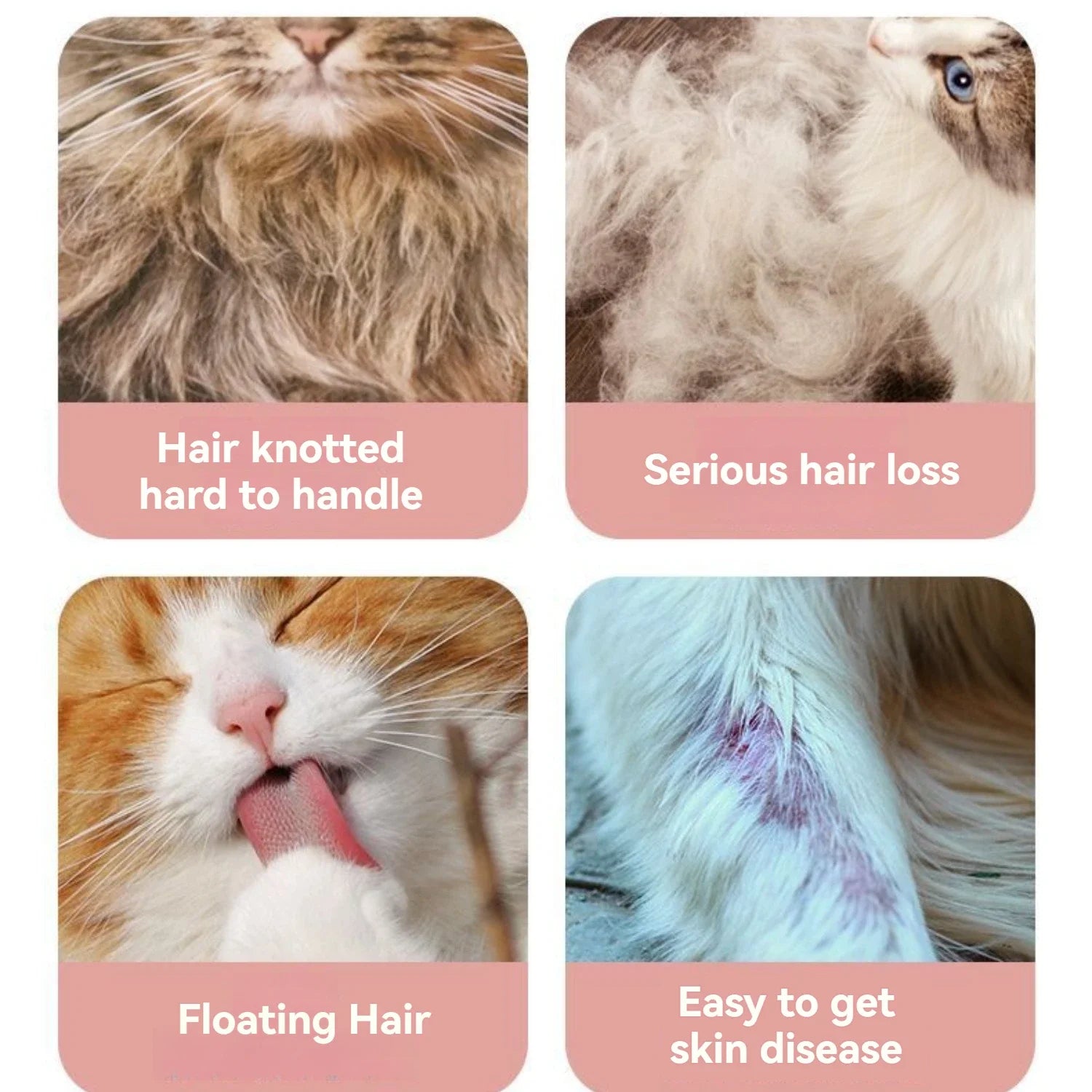 Cat Steam Spray Brush – 2-in-1