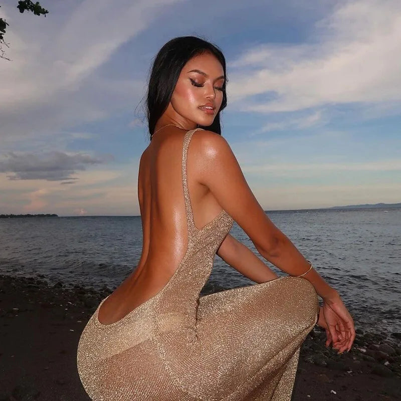 Shiny Sheer Mesh Dress – Summer Glam Backless Bodycon