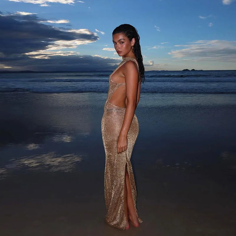 Shiny Sheer Mesh Dress – Summer Glam Backless Bodycon