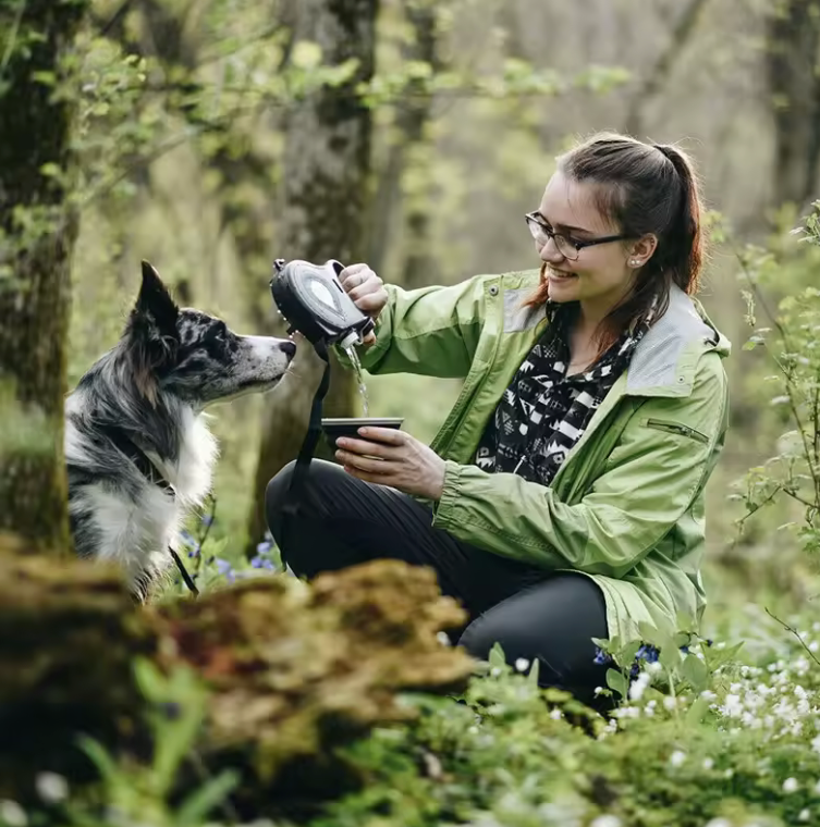 All-in-One Dog Leash – Built-In Water, Bowl & Bag Holder