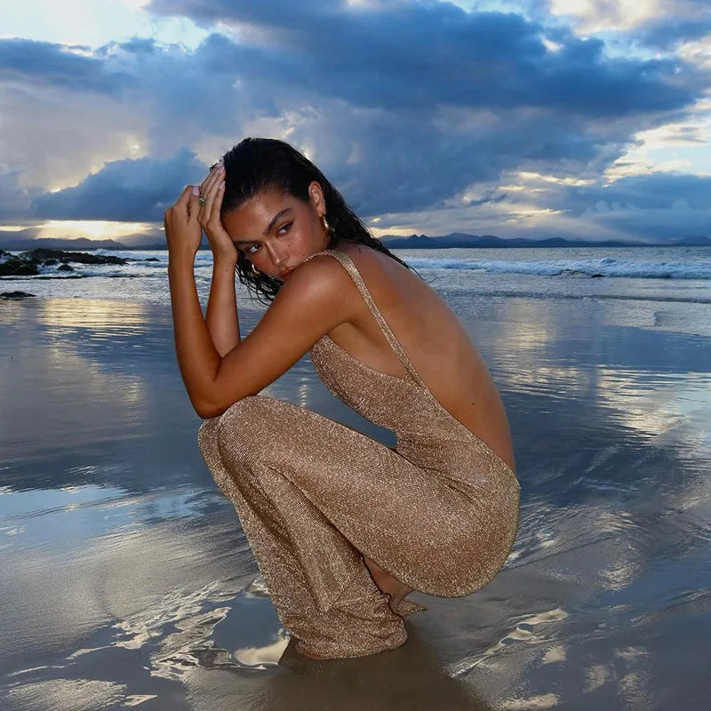 Shiny Sheer Mesh Dress – Summer Glam Backless Bodycon